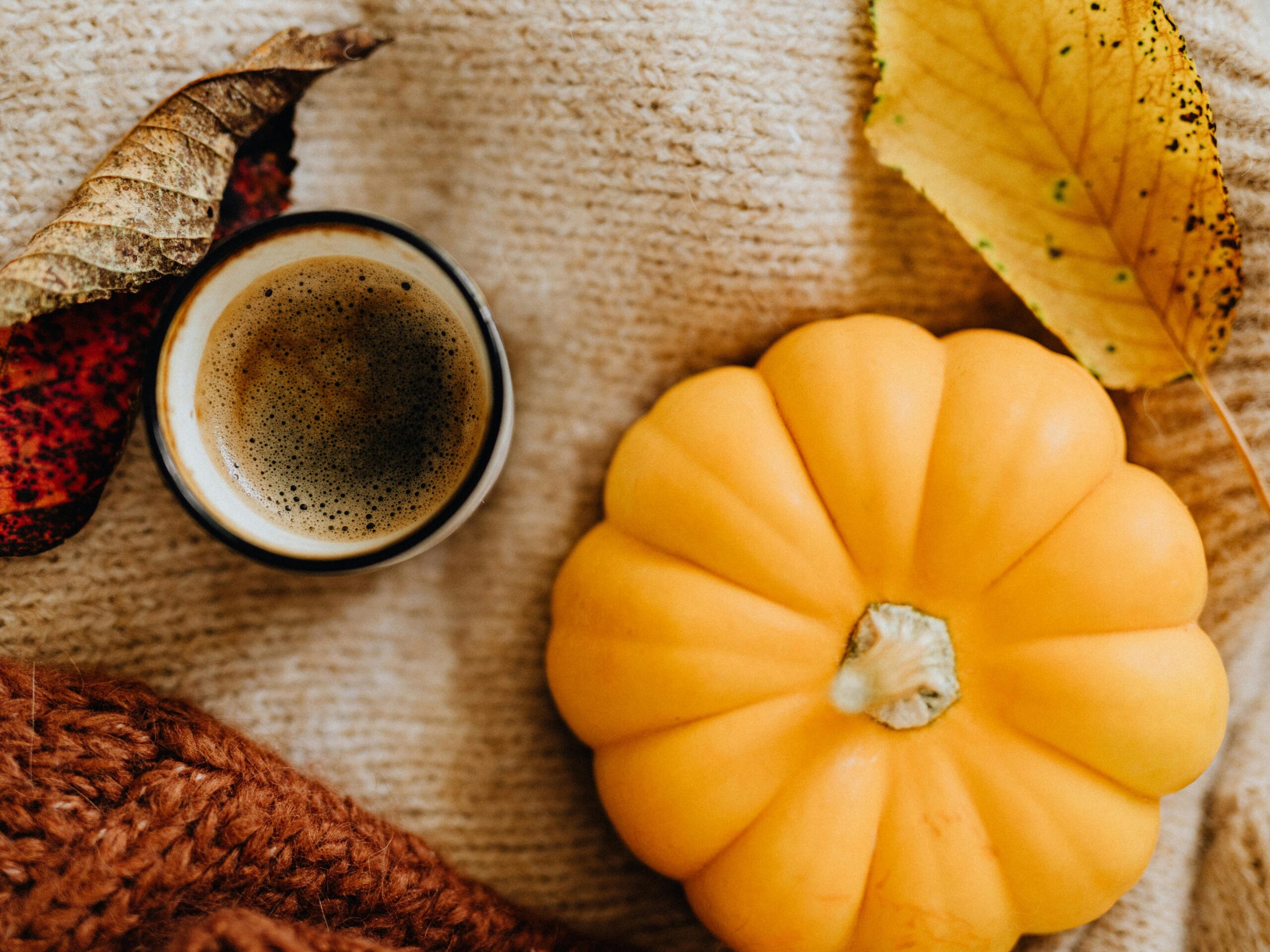 A warm autumn scene featuring coffee, a pumpkin, and fall leaves on a knitted blanket.